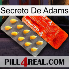 Adams Secret new01